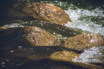 River Stream River Stream