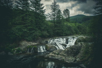 River With Trees Background River With Trees Background