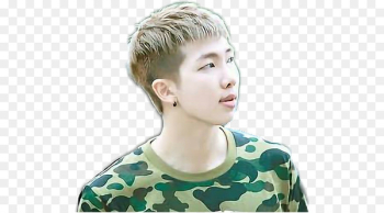RM BTS - Gila Monster RM BTS - Gila Monster