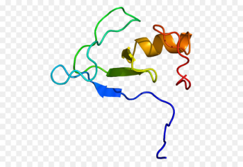 RNF38 Gene Protein Human RING finger domain - dependent source 