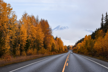 Road Between Autumn Trees Road Between Autumn Trees