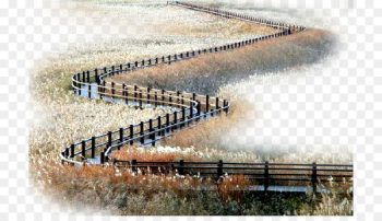Road curve Material - Autumn curved road material Road curve Material - Autumn curved road material