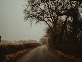 Road Near Forest Road Near Forest