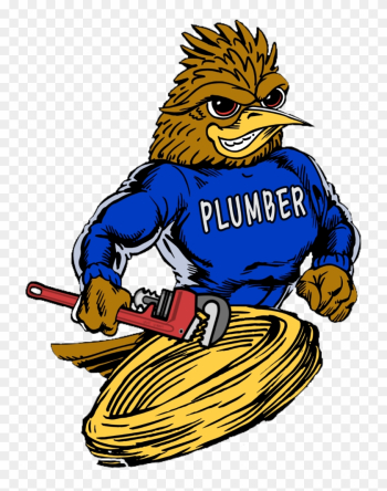 Roadrunner Plumber Plumbing, Drain Cleaning, Video - Canyon Lake High School Roadrunner Plumber Plumbing, Drain Cleaning, Video - Canyon Lake High School