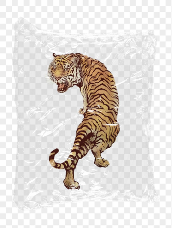 Roaring tiger png plastic bag | Free PNG - rawpixel