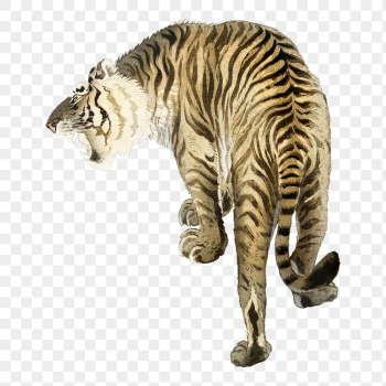 Roaring tiger png sticker, animal | Free PNG Sticker - rawpixel Roaring tiger png sticker, animal | Free PNG Sticker - rawpixel