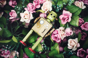 Robot robotic bouquet | Free stock photo - 67656 Robot robotic bouquet | Free stock photo - 67656