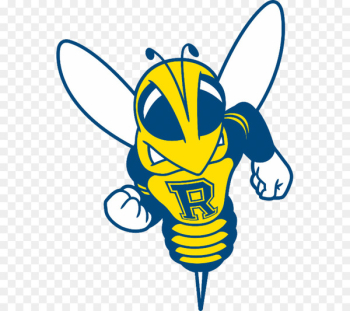 Rochester Yellowjackets football Rochester Yellowjackets men's basketball Rochester Yellowjackets women's basketball University of Rochester Office of Admissions - roch banner 