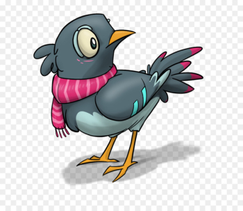 Rock dove Bird Portable Network Graphics Illustration Image - bird 