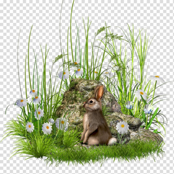 Rock Flower , rock transparent background PNG clipart Rock Flower , rock transparent background PNG clipart