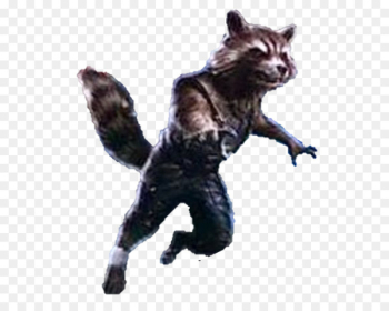 Rocket Raccoon Hulk Iron Man Carol Danvers Thor - rocket raccoon 