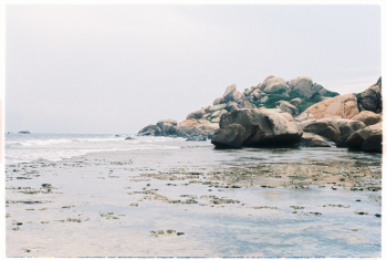 Rocks By The Ocean Rocks By The Ocean
