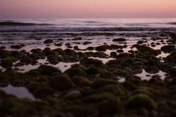 rocks on seashore along ocean wave rocks on seashore along ocean wave