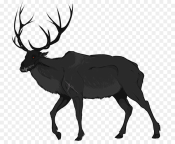 Rocky Mountain elk Red deer Moose - deer 