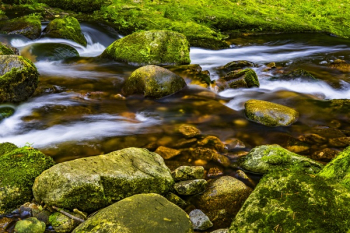 Rocky River Rocky River