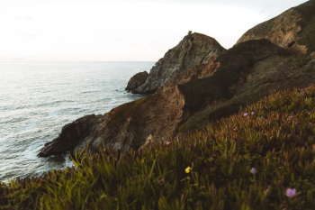 Rocky Sea Cliff