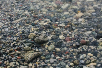 Rocky Stream Close Up Rocky Stream Close Up