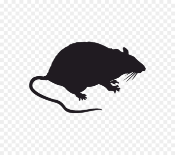 Rodent Brown rat Sticker Decal Blanket - mouse Rodent Brown rat Sticker Decal Blanket - mouse