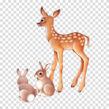 Roe deer, Deer transparent background PNG clipart Roe deer, Deer transparent background PNG clipart