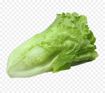 Romaine lettuce Barbecue Vegetable - Barbecue with lettuce Romaine lettuce Barbecue Vegetable - Barbecue with lettuce