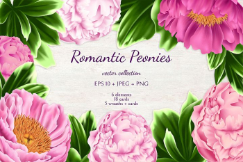 Romantic Peonies Romantic Peonies