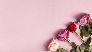 Romantic roses with copy space Free Photo Romantic roses with copy space Free Photo