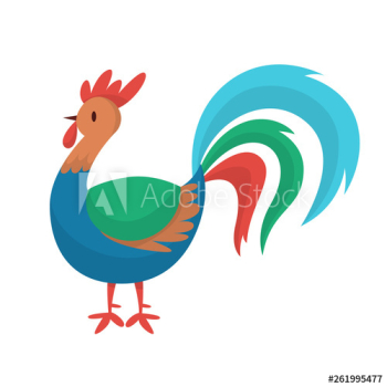 Rooster chicken Rooster chicken