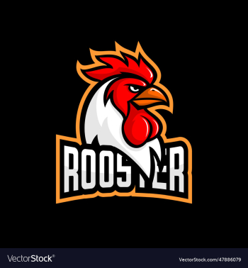 rooster chicken