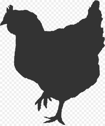 Rooster Chicken as food Broiler Clip art - chicken Rooster Chicken as food Broiler Clip art - chicken
