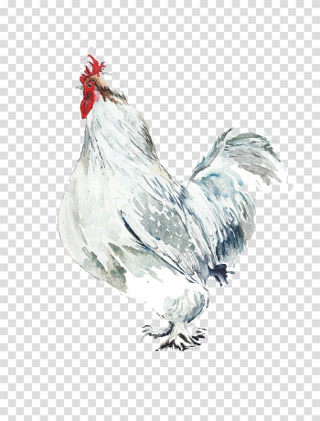 Rooster Chicken Watercolor painting Bird Illustration, Big white cock transparent background PNG clipart