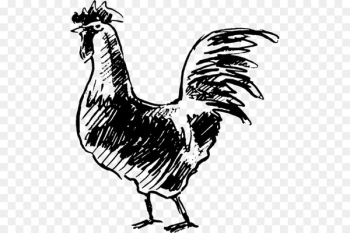 Rooster Rubber stamp Postage Stamps Natural rubber Postage stamp design - chicken 