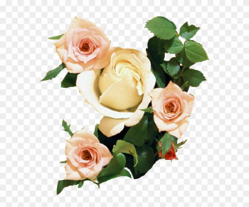 Rosa De Papel Tapiz De Desktop De Ramo De Flores De - Wedding Anniversary Wishes With Flowers