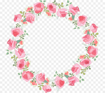 Rosa multiflora Beach rose Download - Pink Rose Garland Rosa multiflora Beach rose Download - Pink Rose Garland