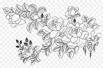Rosa multiflora Drawing Flower Sketch - Flower sketch Rosa multiflora Drawing Flower Sketch - Flower sketch