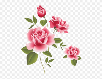 Rosas Rosa Sticker Stickerrosas Beautiful - Rose Flower Rosas Rosa Sticker Stickerrosas Beautiful - Rose Flower