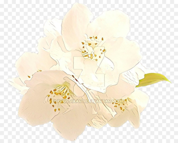Rose Rose