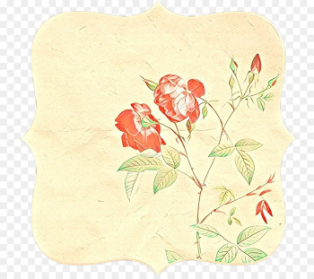 Rose Rose