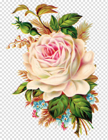 Rose Art , botanical flowers transparent background PNG clipart Rose Art , botanical flowers transparent background PNG clipart