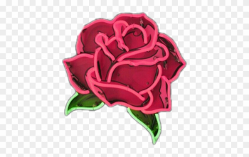Rose Background Phone