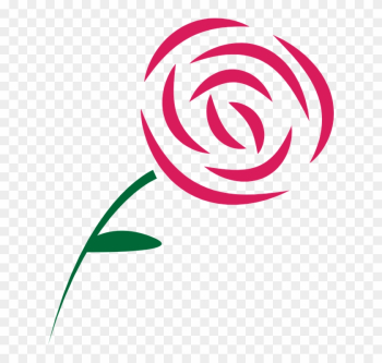 Rose Beauty Pink  - Draw A Simple Rose Rose Beauty Pink  - Draw A Simple Rose