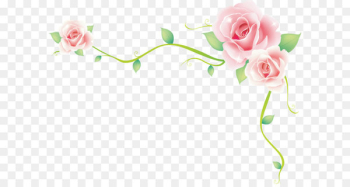 Rose border vector rose sea Rose border vector rose sea