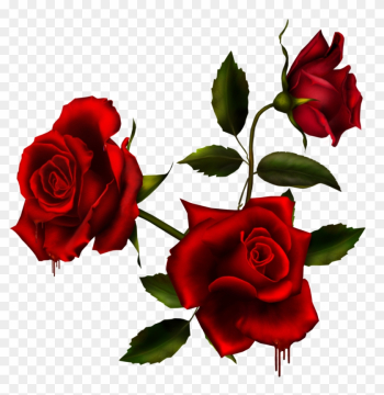 Rose Bouquet 3 By Autumnsmuse On Deviantart - 3 Red Roses Png