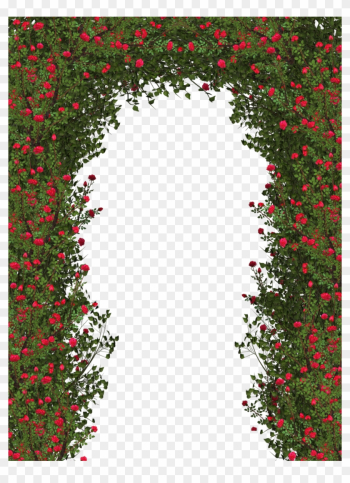 Rose Bush Clipart Flower Shrub - Rose Flower Tree Png