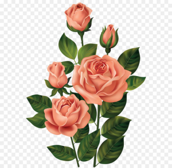 Rose Clip art - Roses PNG Clipart Image 