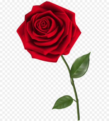 Rose Clip art - Single Red Rose PNG Clipart Image Rose Clip art - Single Red Rose PNG Clipart Image