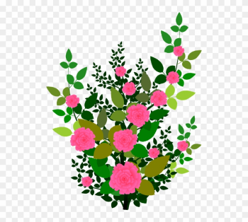 Rose Clipart Rose Plant - Rose Shrub Clipart Rose Clipart Rose Plant - Rose Shrub Clipart