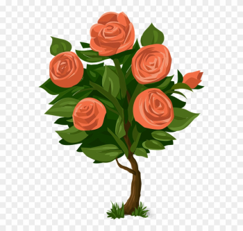 Rose Clipart Rose Tree - Rose Bush Clip Art Rose Clipart Rose Tree - Rose Bush Clip Art
