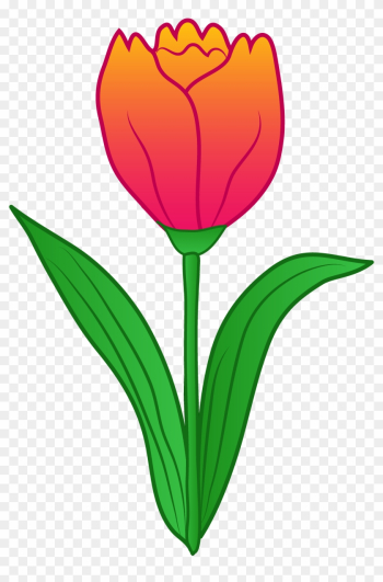 Rose Clipart Tulip - Tulip Flower Clipart Rose Clipart Tulip - Tulip Flower Clipart