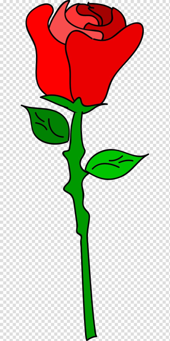 Rose Drawing Cartoon , cartoon flowers transparent background PNG clipart Rose Drawing Cartoon , cartoon flowers transparent background PNG clipart