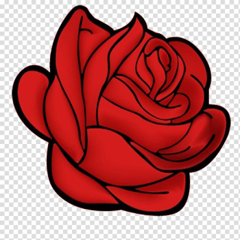 Rose Drawing , rose transparent background PNG clipart